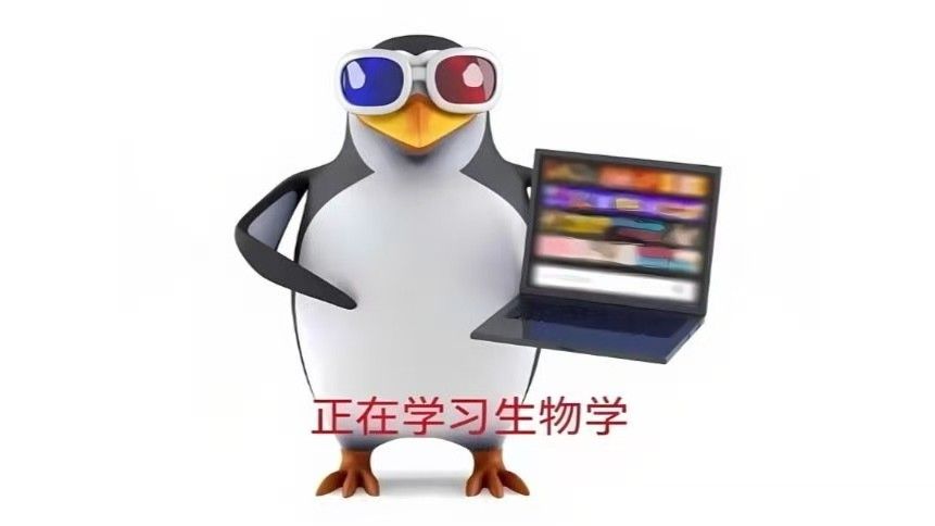 实测教程“闲逸开挂视频”其实确实有挂-第2张图片