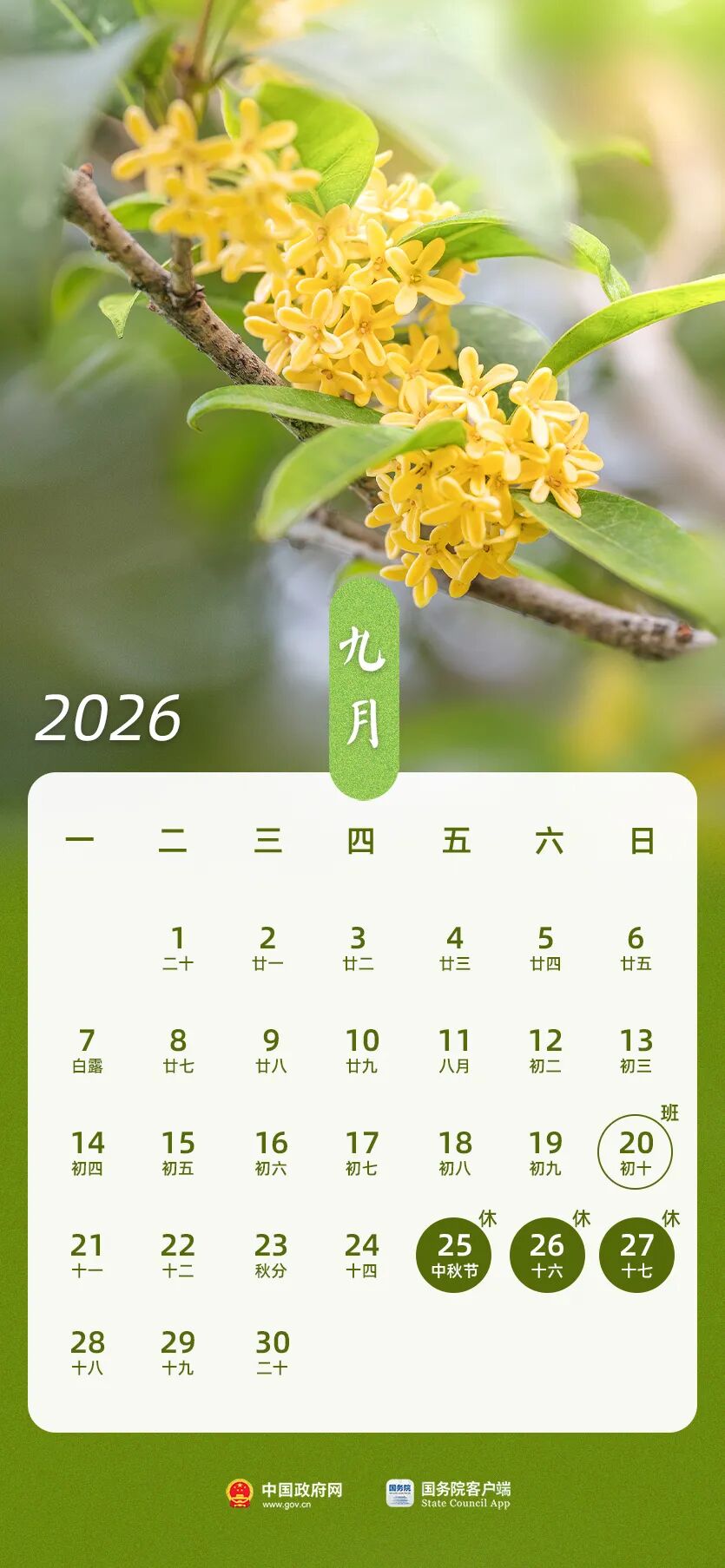 “高速路免费2024” 高速路免费2026时间表？-第2张图片