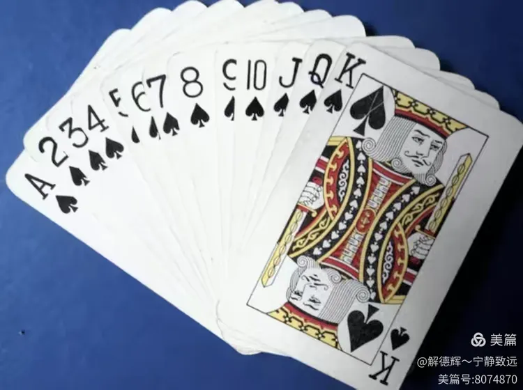 专业讨论“方片十三张透视挂”爆光开挂猫腻-第1张图片