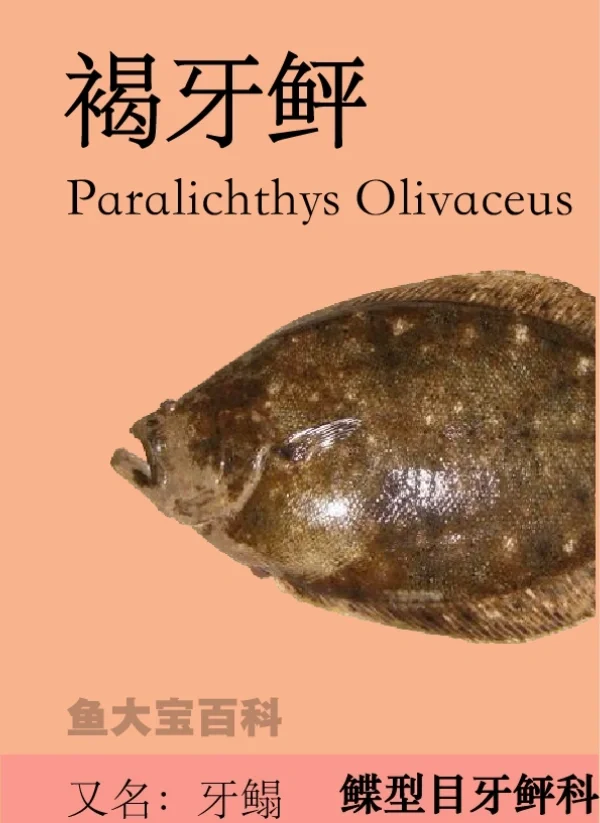 玩家攻略宝典“鱼扑克免费辅助器最新版本更新内容	”(确实是有挂)-第1张图片