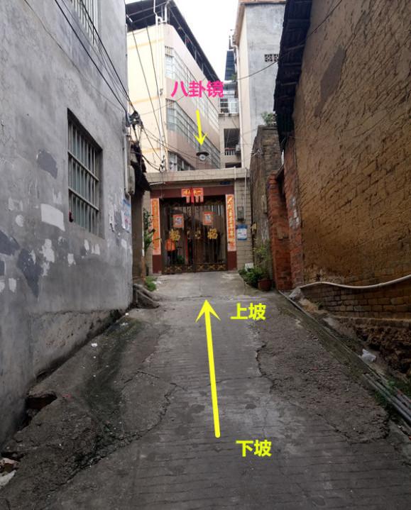 传递经验“金州水鱼有什么挂	”其实是有挂-第2张图片