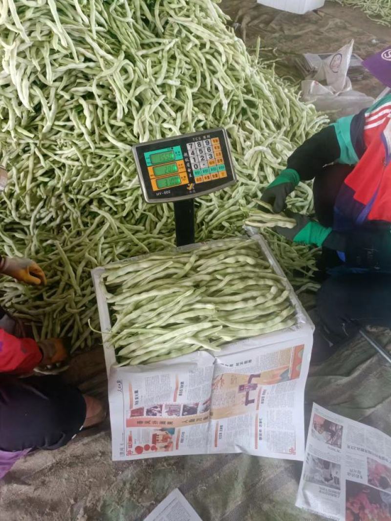 专业讨论“锦州麻将有挂吗	”确实是有挂-第2张图片