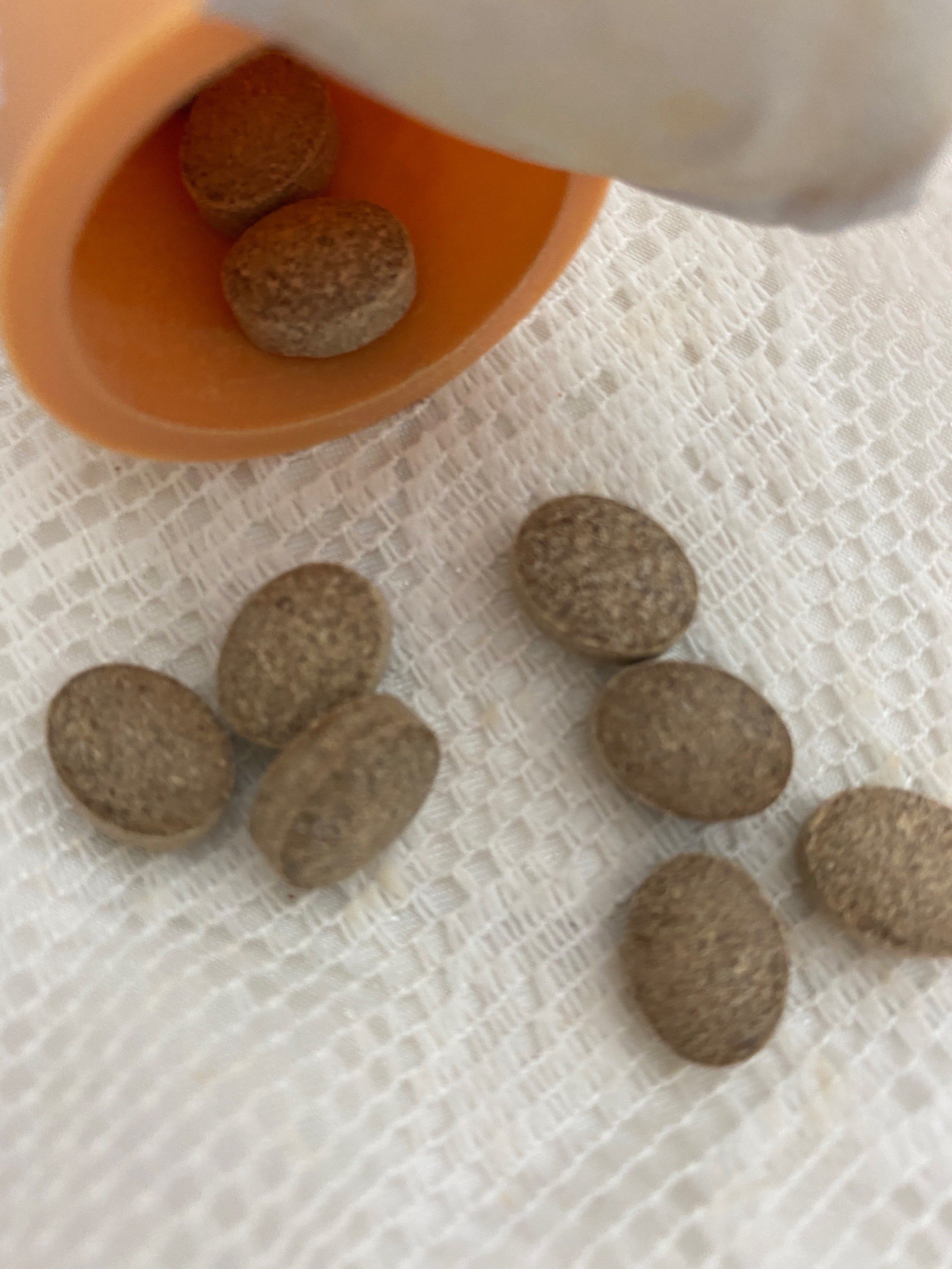 分享一款“牌友联盟透视挂教程”(其实是有挂)-第1张图片
