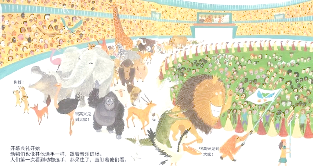 冬奥会资料︰(冬奥会了解)-第2张图片