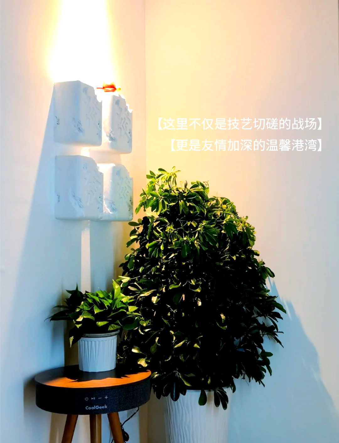 教程解析“陕西微乐麻将开挂神器免费版	”详细分享开挂步骤-第1张图片