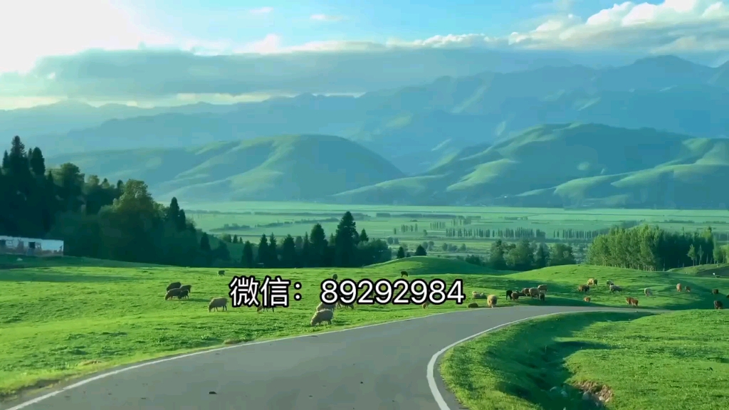 今日热议“星悦手机麻将挂先试用后付款	”附开挂脚本详细-第2张图片
