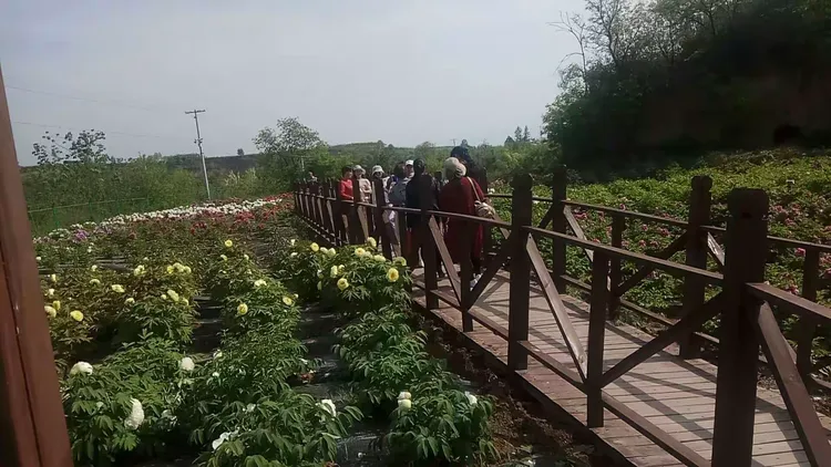 分析必看“家乡大贰有透视挂吗”确实真的有挂-第3张图片